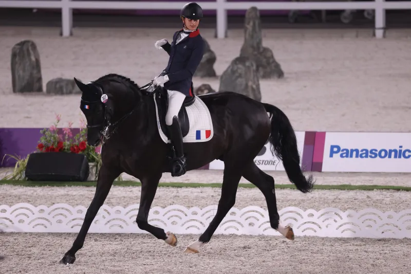 Chiara Zenati : Entrée par la grande porte